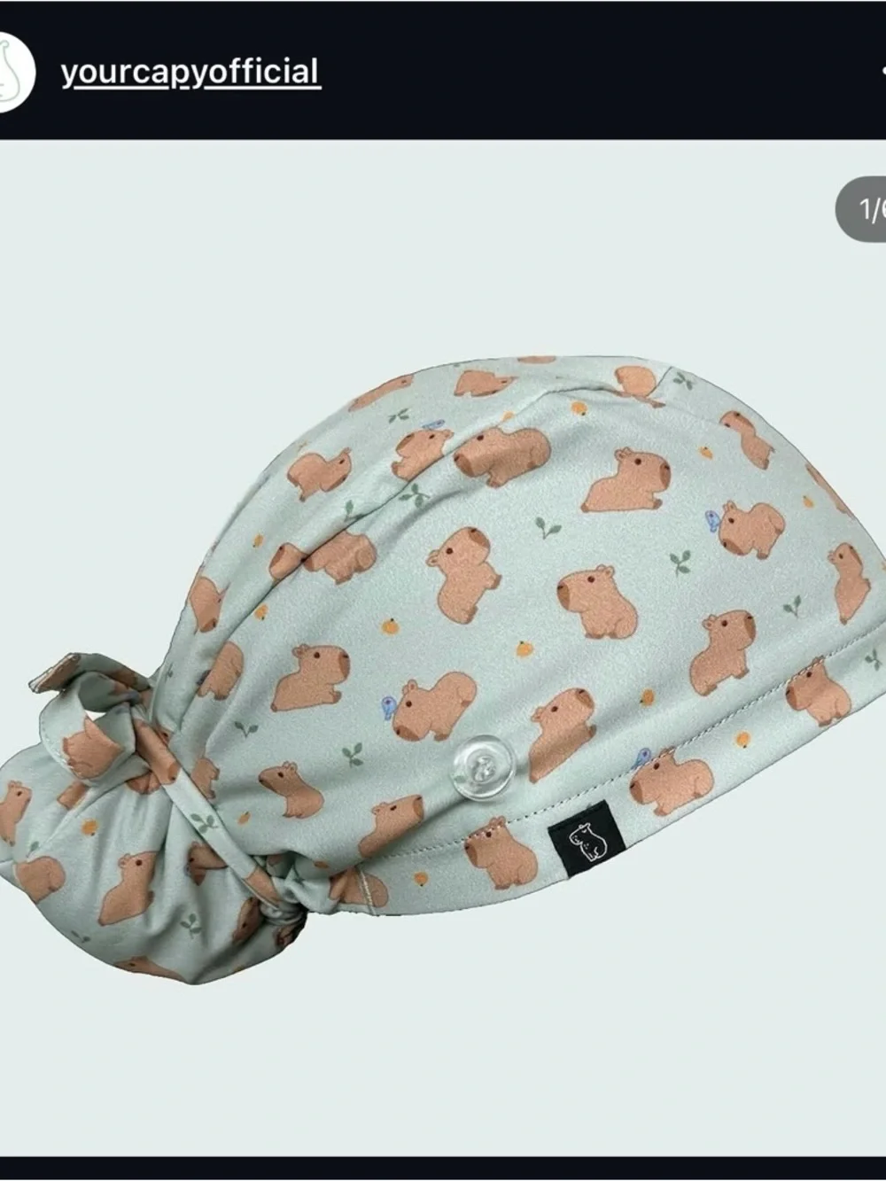 Capybara Scrub Cap - Picture 1 of 2